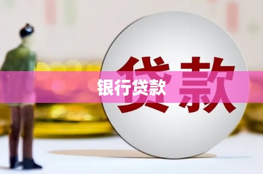 新和银行贷款
