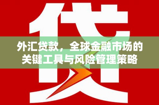 新和外汇贷款，全球金融市场的关键工具与风险管理策略