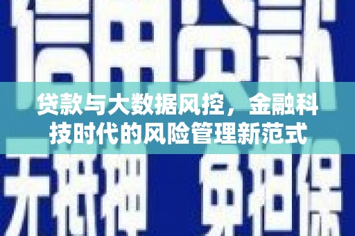 新和贷款与大数据风控，金融科技时代的风险管理新范式
