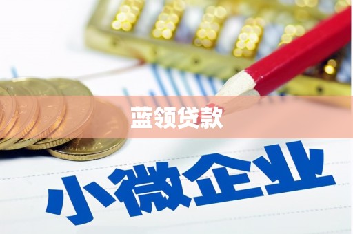 新和蓝领贷款