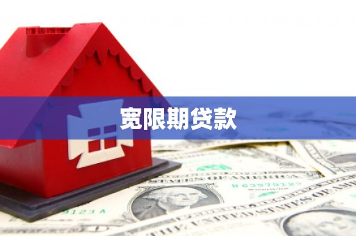 新和宽限期贷款