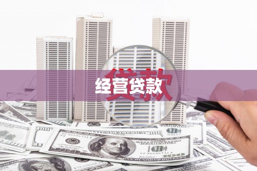 新和经营贷款