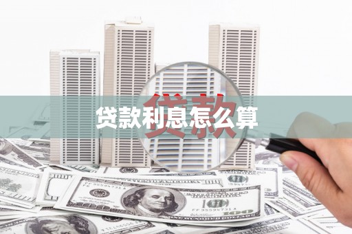 新和贷款利息怎么算