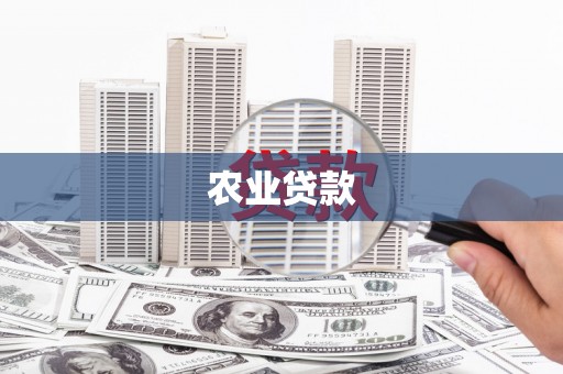 新和农业贷款