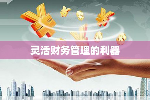 新和灵活财务管理的利器