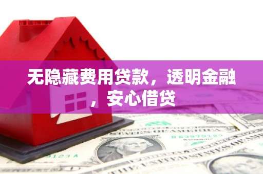 新和无隐藏费用贷款，透明金融，安心借贷