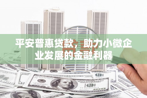 新和平安普惠贷款，助力小微企业发展的金融利器
