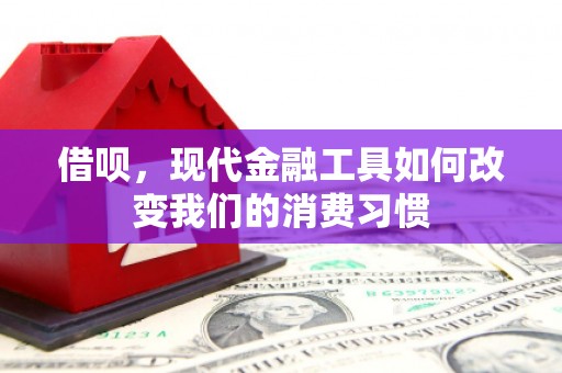 新和借呗，现代金融工具如何改变我们的消费习惯