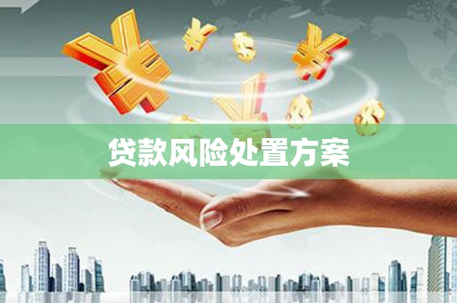 新和贷款风险处置方案