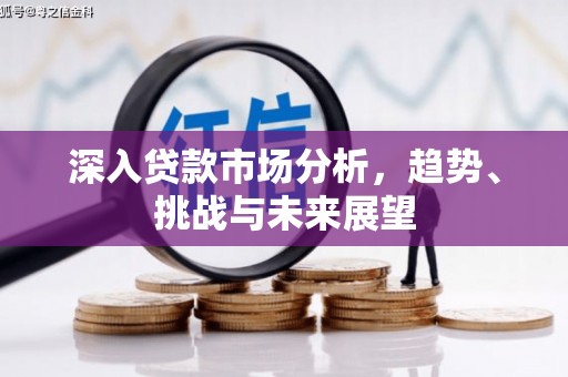 新和深入贷款市场分析，趋势、挑战与未来展望