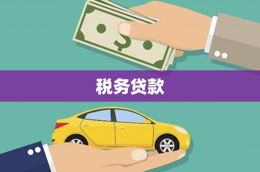 新和税务贷款