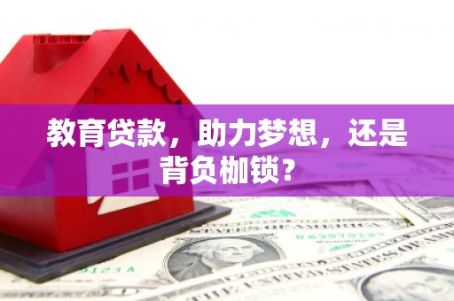 新和教育贷款，助力梦想，还是背负枷锁？