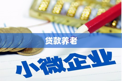 新和贷款养老