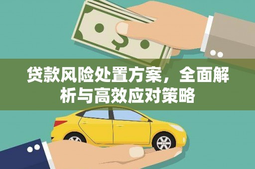 新和贷款风险处置方案，全面解析与高效应对策略