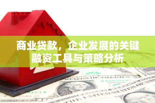 新和商业贷款，企业发展的关键融资工具与策略分析