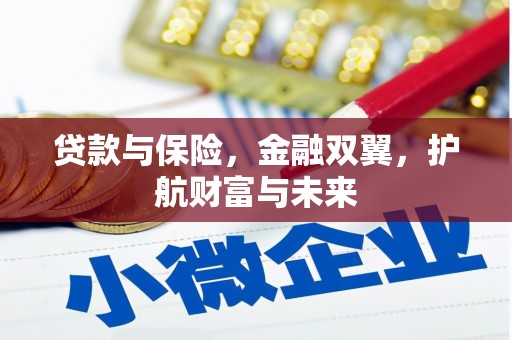 新和贷款与保险，金融双翼，护航财富与未来