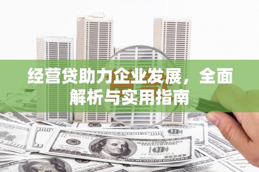 新和经营贷助力企业发展，全面解析与实用指南