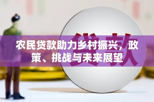 新和农民贷款助力乡村振兴，政策、挑战与未来展望