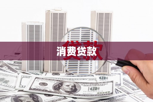 新和消费贷款