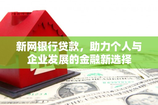 新和新网银行贷款，助力个人与企业发展的金融新选择