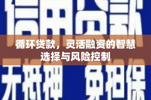 新和循环贷款，灵活融资的智慧选择与风险控制