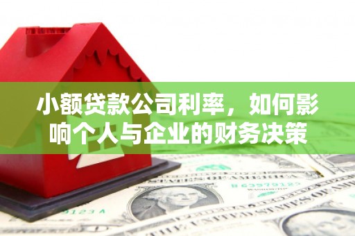 新和小额贷款公司利率，如何影响个人与企业的财务决策