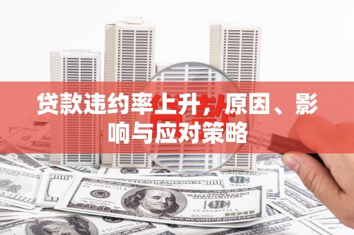 新和贷款违约率上升，原因、影响与应对策略
