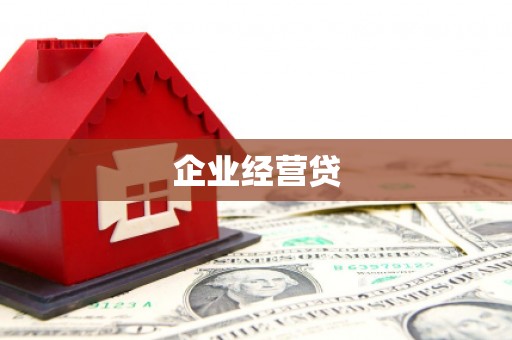 新和企业经营贷