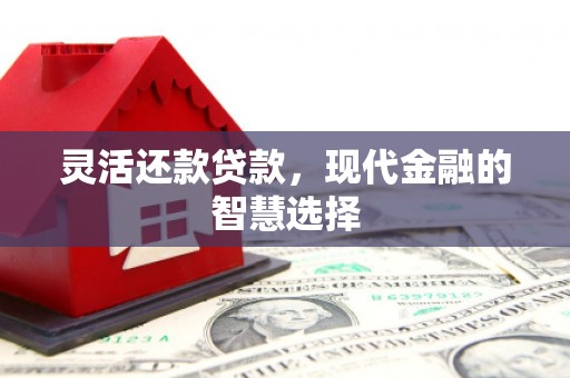 新和灵活还款贷款，现代金融的智慧选择