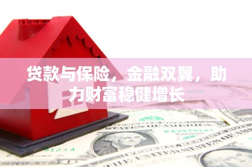 新和贷款与保险，金融双翼，助力财富稳健增长