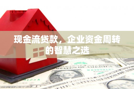 新和现金流贷款，企业资金周转的智慧之选