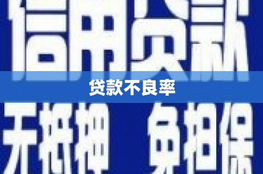 新和贷款不良率