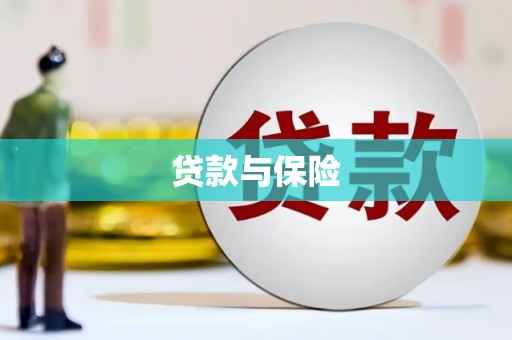 新和贷款与保险