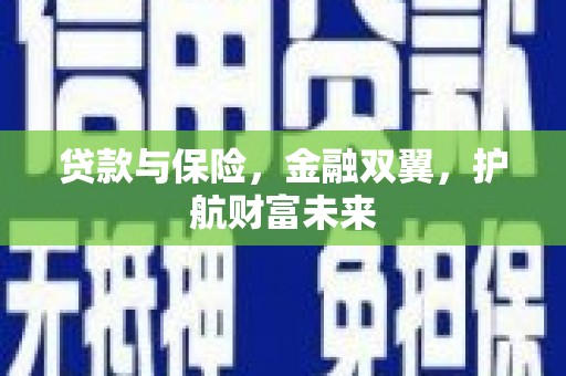 新和贷款与保险，金融双翼，护航财富未来
