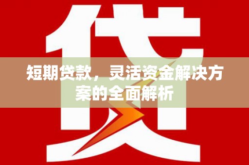 新和短期贷款，灵活资金解决方案的全面解析