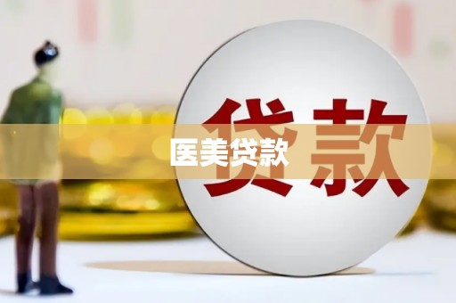 新和医美贷款