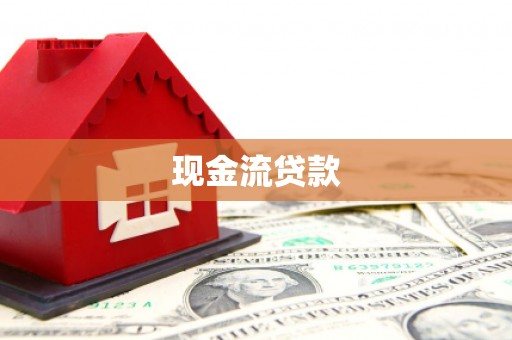 新和现金流贷款