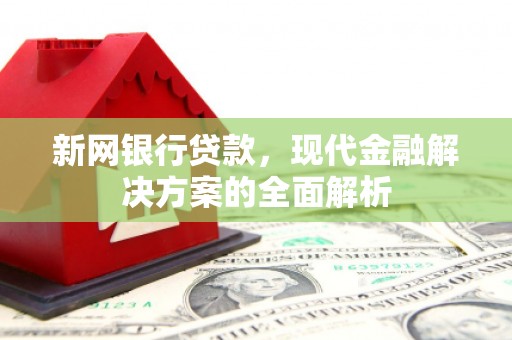 新和新网银行贷款，现代金融解决方案的全面解析