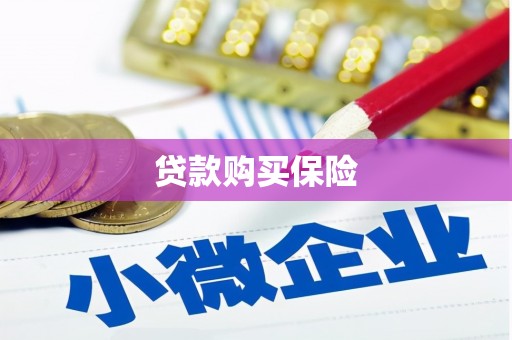 新和贷款购买保险