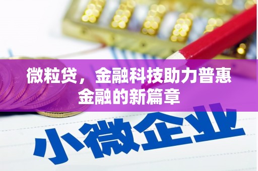 新和微粒贷，金融科技助力普惠金融的新篇章