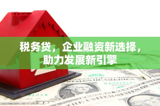 新和税务贷，企业融资新选择，助力发展新引擎