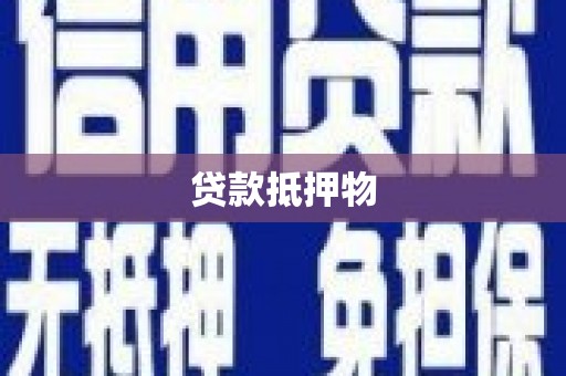 新和贷款抵押物