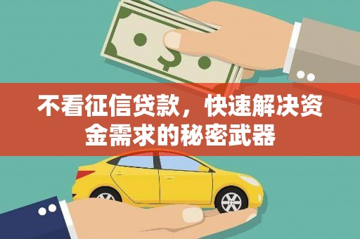 新和不看征信贷款，快速解决资金需求的秘密武器