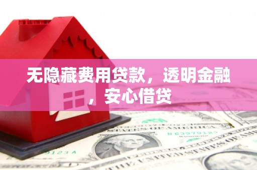 新和无隐藏费用贷款，透明金融，安心借贷