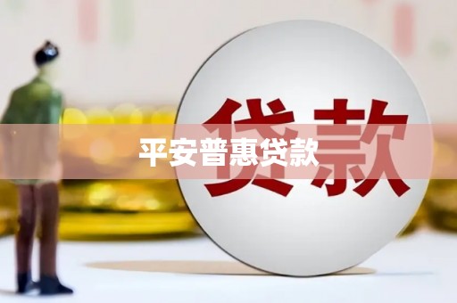 新和平安普惠贷款