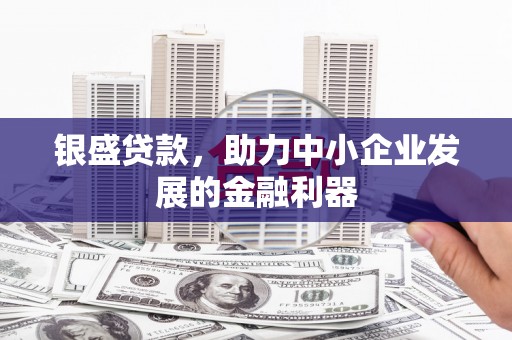 新和银盛贷款，助力中小企业发展的金融利器