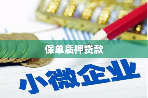 新和保单质押贷款