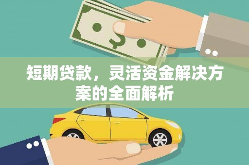 新和短期贷款，灵活资金解决方案的全面解析