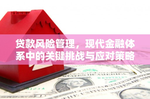 新和贷款风险管理，现代金融体系中的关键挑战与应对策略