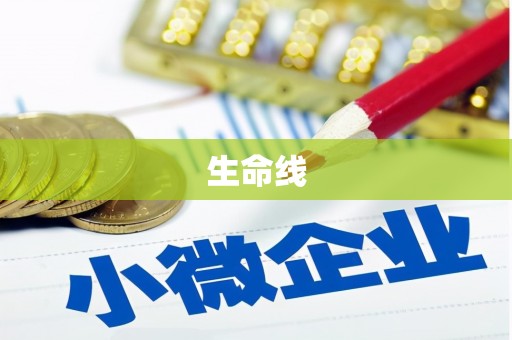 新和生命线